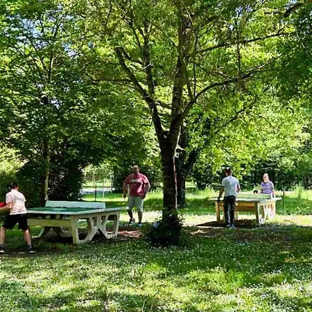 Tente Confortable - 4 Pers. - Api-1-52-2628 Camping *